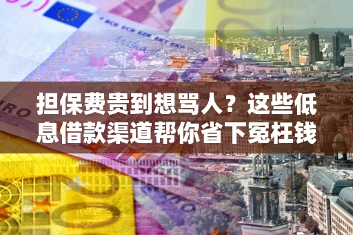 济南担保费贵到想骂人？这些低息借款渠道帮你省下冤枉钱