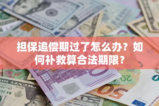 济南担保追偿期过了怎么办？如何补救算合法期限？