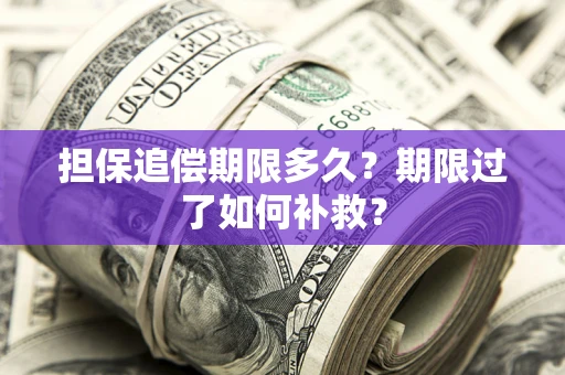 济南担保追偿期限多久？期限过了如何补救？