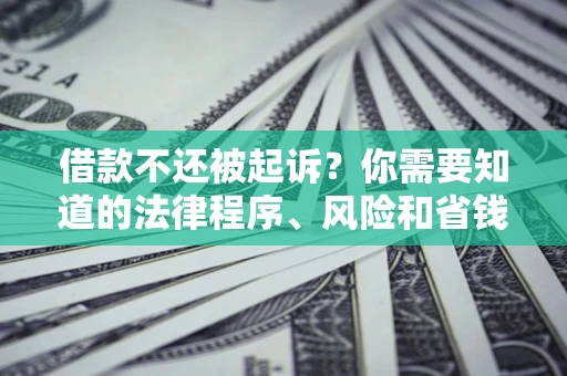 济南借款不还被起诉？你需要知道的法律程序、风险和省钱技巧